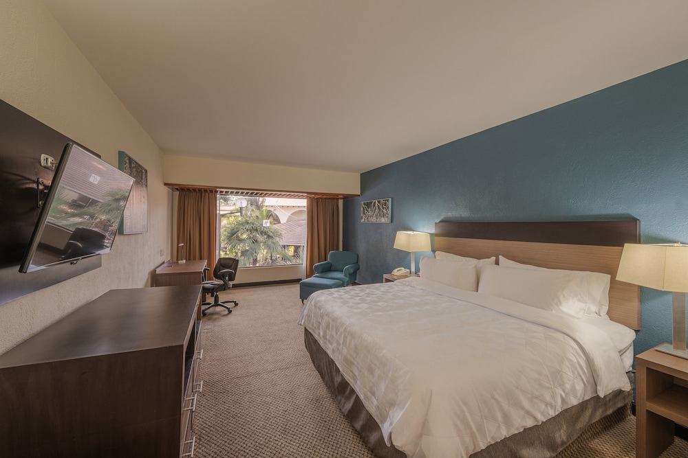 Standard Room, 1 King Bed, Balcony, Pool View