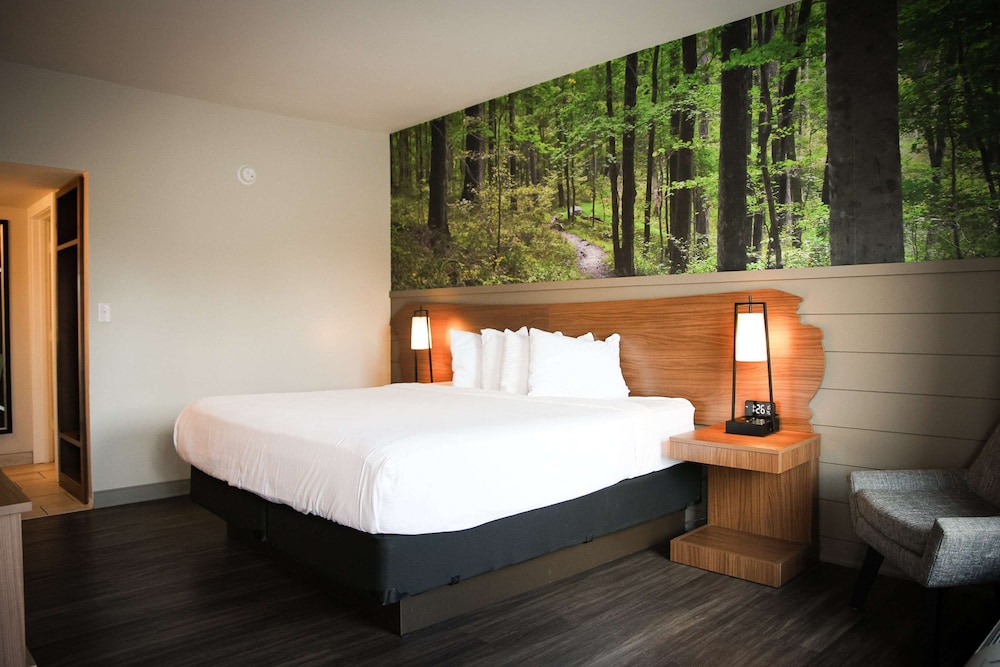 Standard Room, 1 King Bed, Accessible, Refrigerator & Microwave (Theme Room) photo 2