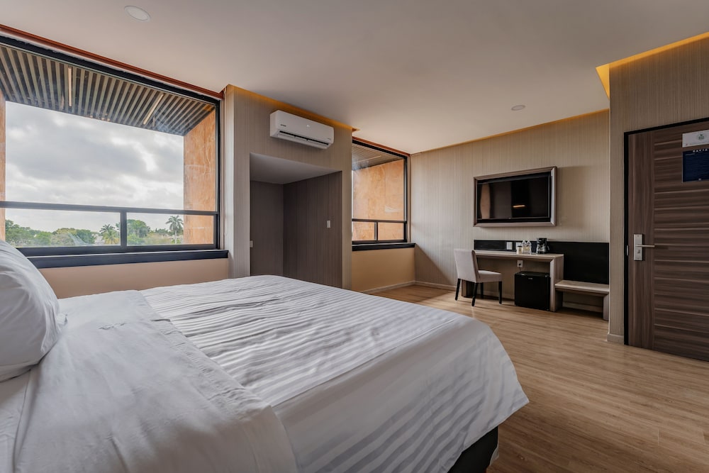 Suite - Photo 4