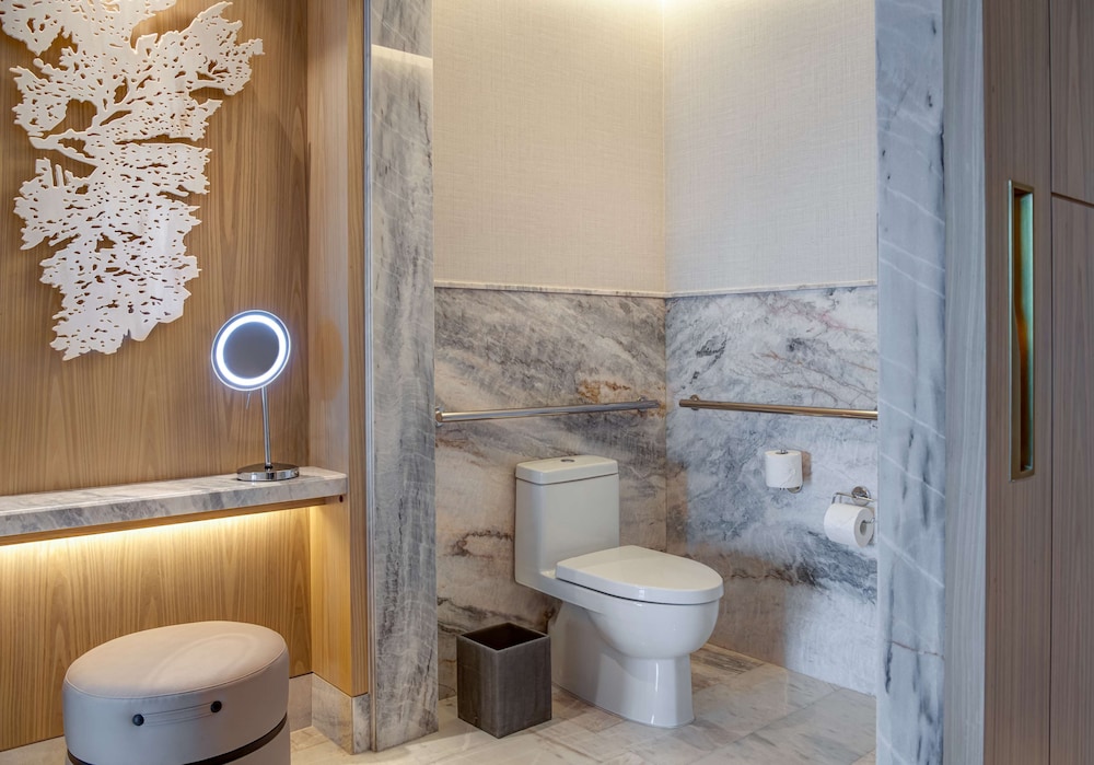 Room, 1 King Bed, Accessible (roll In Shower)