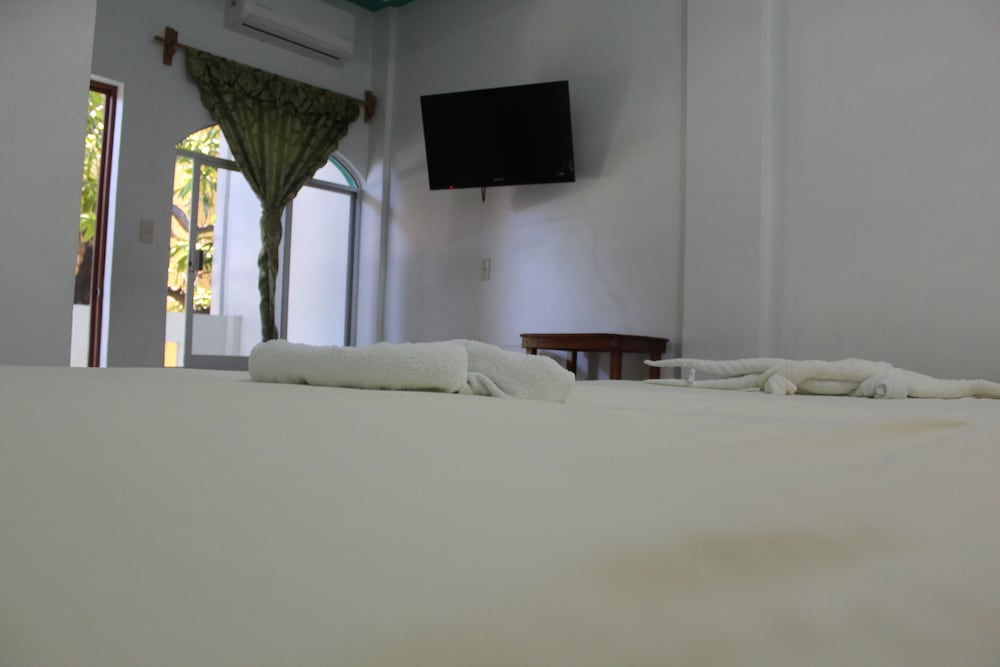 Basic Twin Room - Photo 8