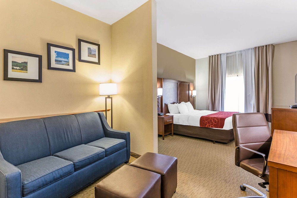 Suite, 1 King Bed with Sofa bed, Accessible, Non Smoking - Photo 1