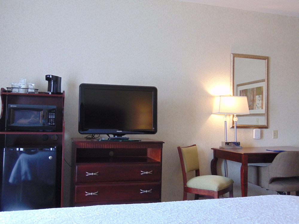 Suite, 1 King Bed - Photo 1