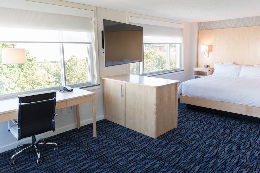 Luxury Studio Suite, 1 King Bed with Sofa bed photo 3