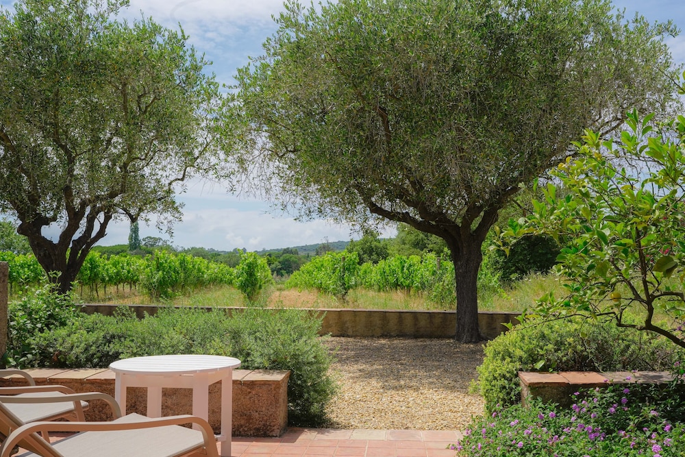 Superior Room, Terrace, Vineyard View photo 3