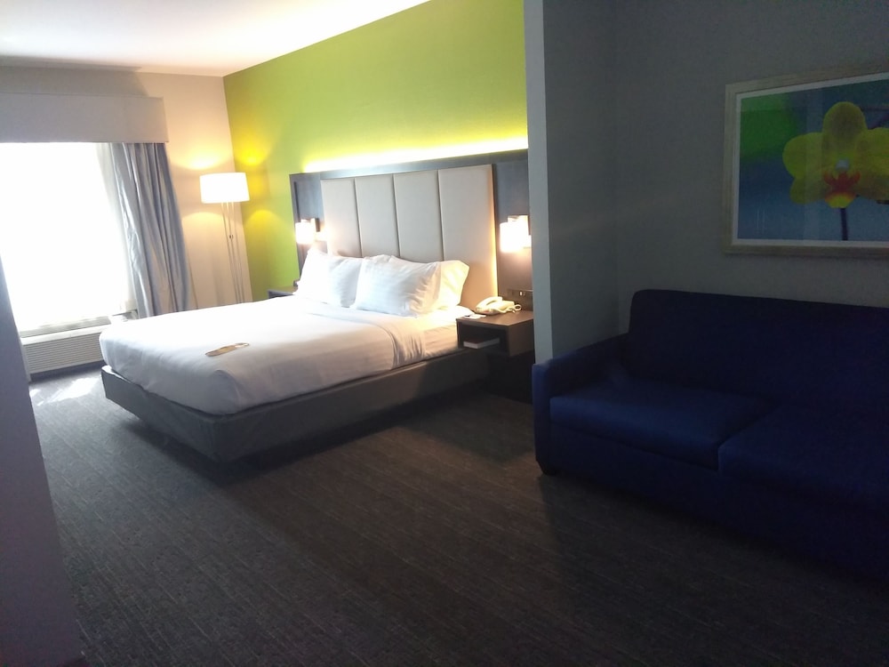 Suite, 1 King Bed (Additional Living Area) - Photo 4