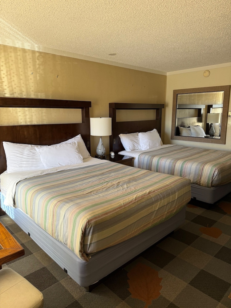 Deluxe Double Room, 2 Queen Beds photo 3