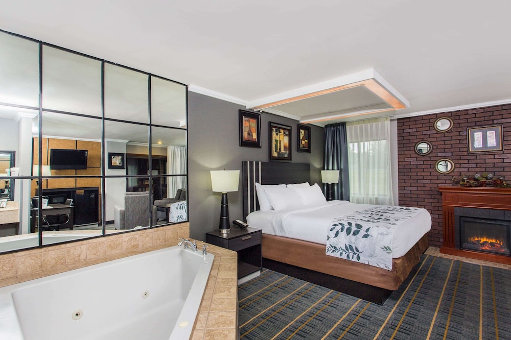 Suite, 1 King Bed, Non Smoking (Studio) - Photo 1
