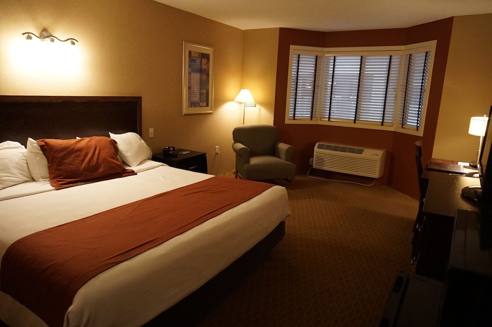 Standard Room, 1 King Bed, Non Smoking