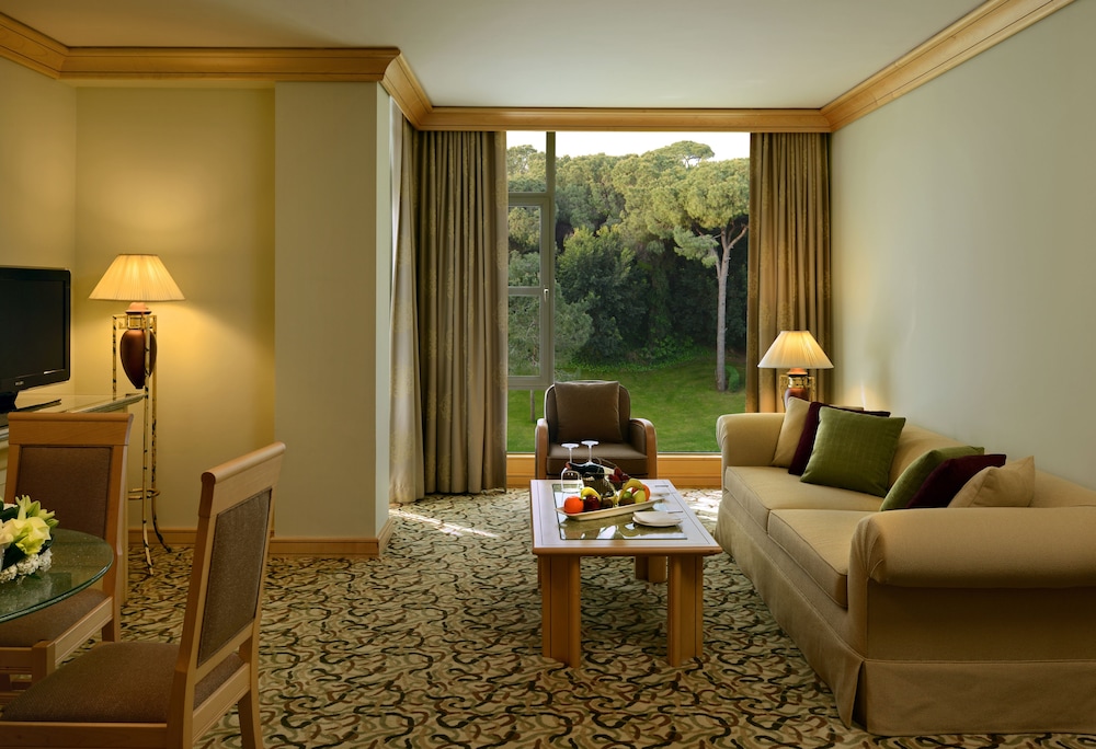 Deluxe Suite photo 2