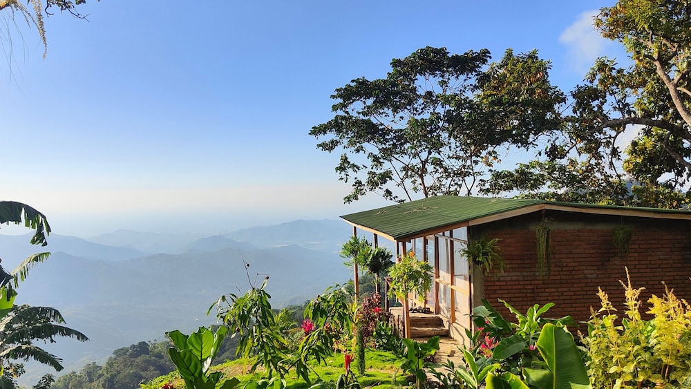Panoramic Cabin, Multiple Beds, Terrace, Ocean View photo 1