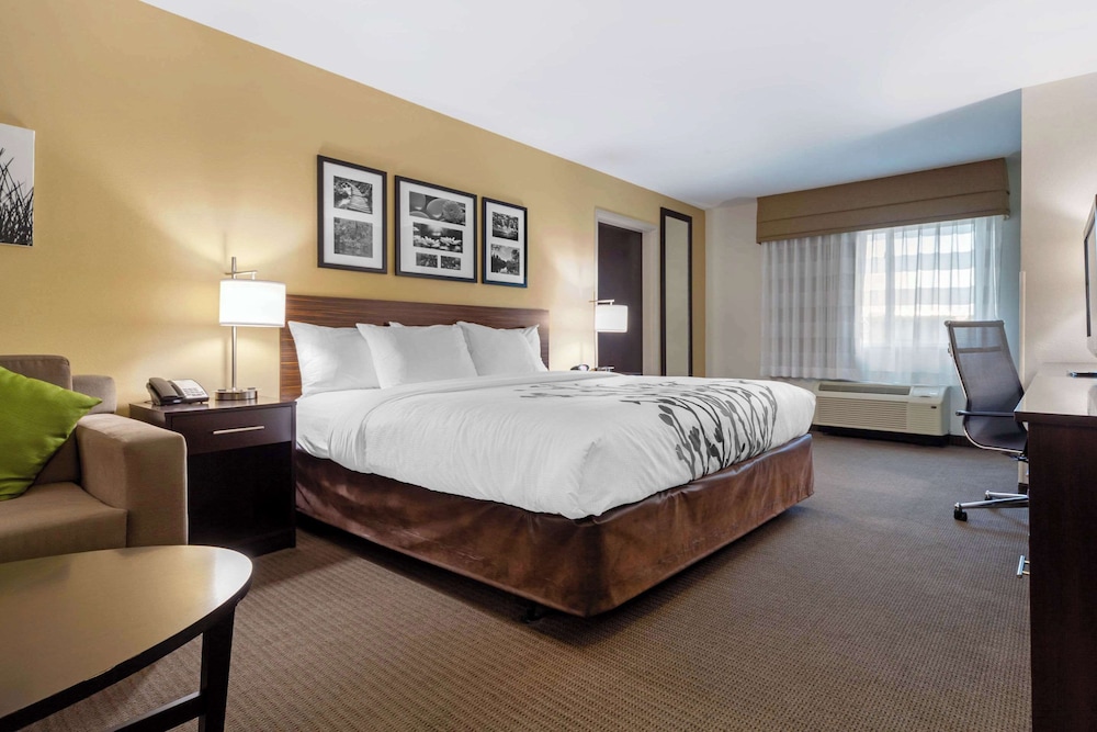 Suite, 1 King Bed with Sofa bed, Accessible, Non Smoking photo 1