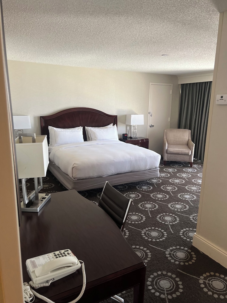 Junior Suite, 1 King Bed with Sofa bed, Non Smoking - Photo 2
