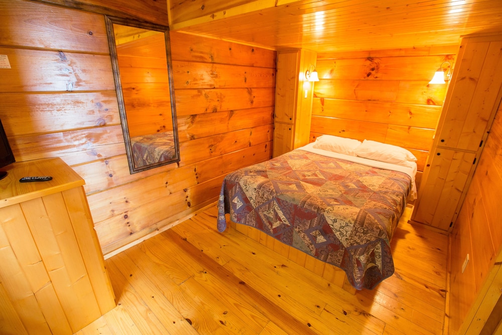 Premium Cabin, 1 Bedroom, Kitchen, Lake View photo 3