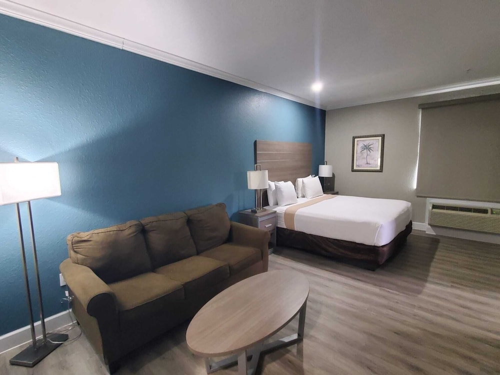 Elite Single Room, 1 King Bed photo 3