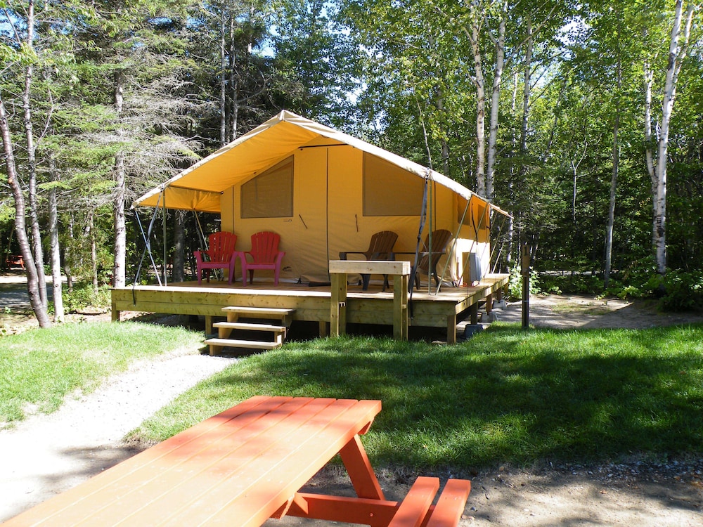 Standard Tent, 2 Double Beds photo 1