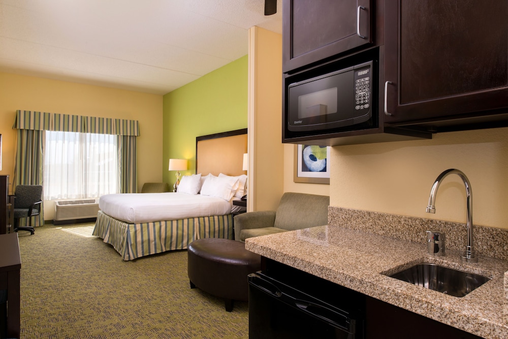 Suite, 1 King Bed - Photo 1