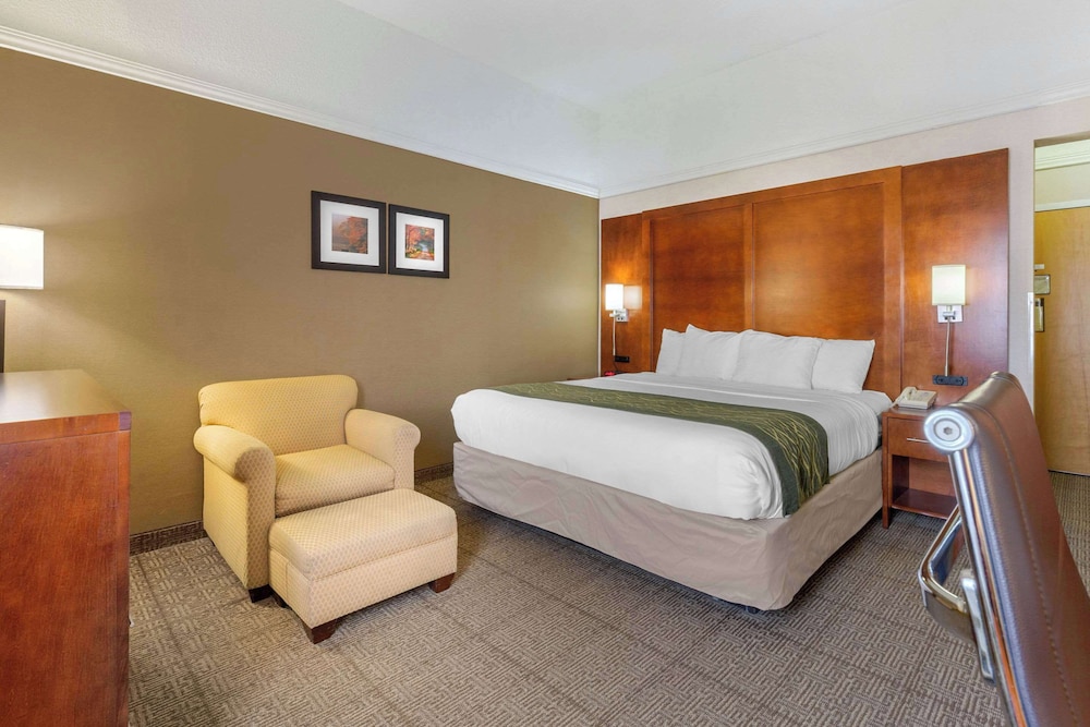 Standard Room, 1 King Bed, Non Smoking - Photo 1