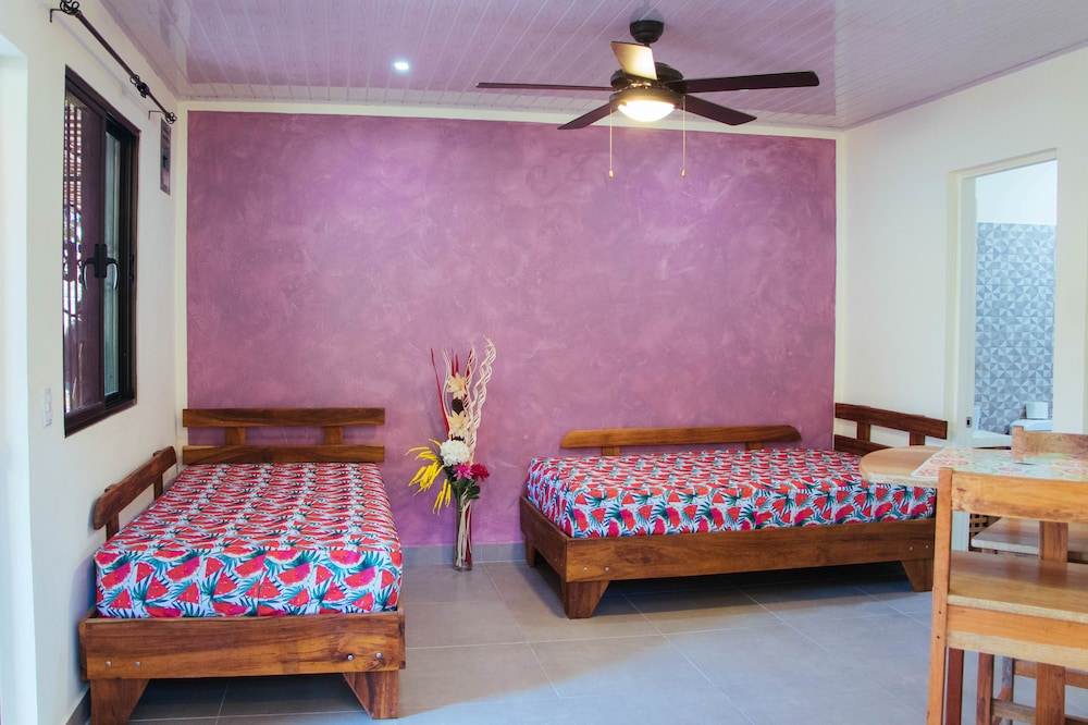 Comfort Apartment photo 3
