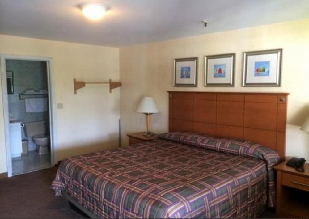 Room, 1 King Bed photo 2