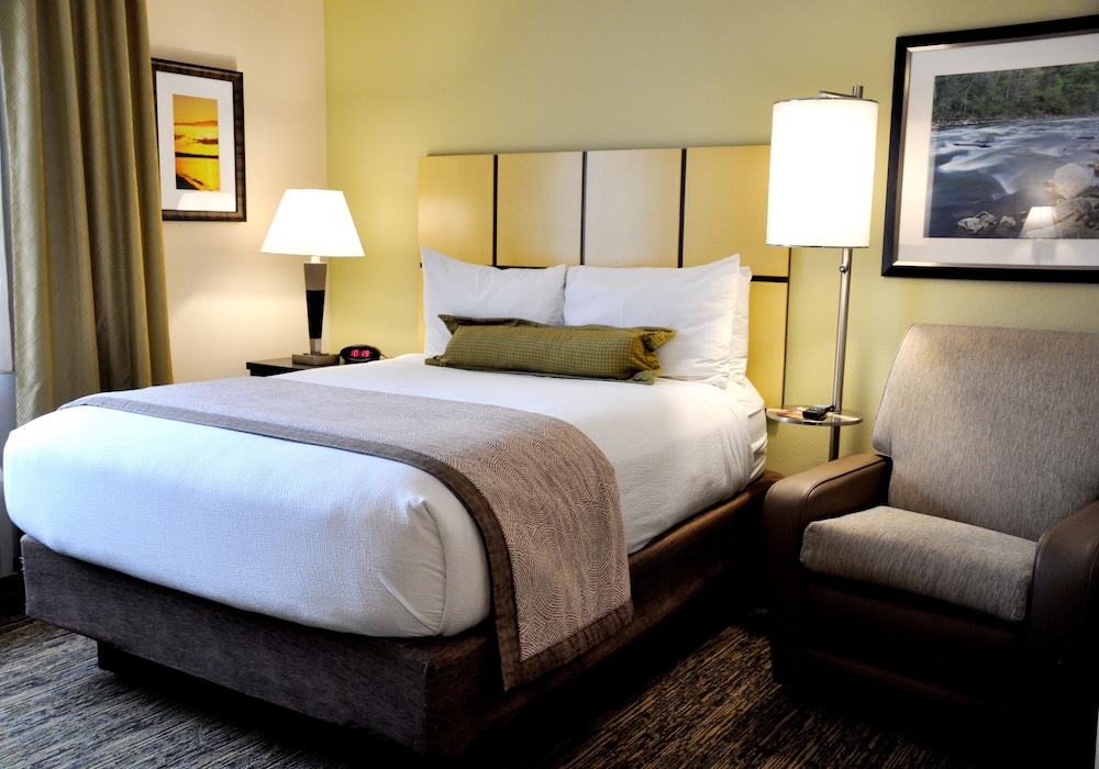 Studio Suite, 1 Queen Bed (Full Kitchen) - Photo 10