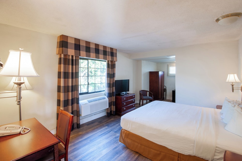 Deluxe Room, 1 King Bed, Microwave photo 3
