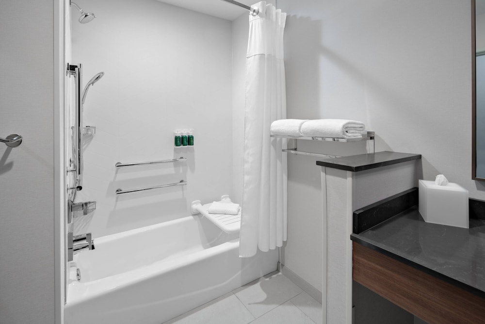 Room, 1 King Bed (Mobility Accessible, Roll-in Shower) photo 3