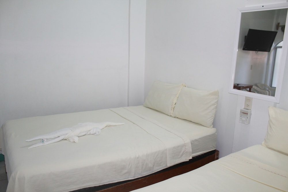 Basic Twin Room - Photo 12