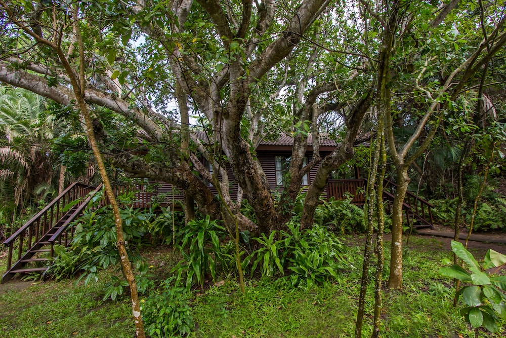 Superior Double Room, Garden View photo 2