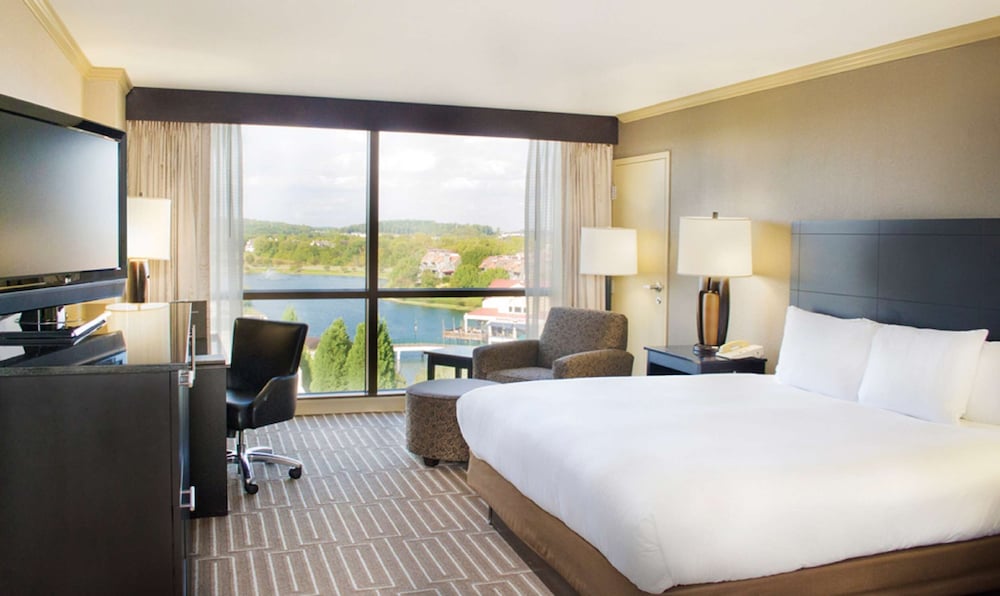 Suite, 1 King Bed photo 2