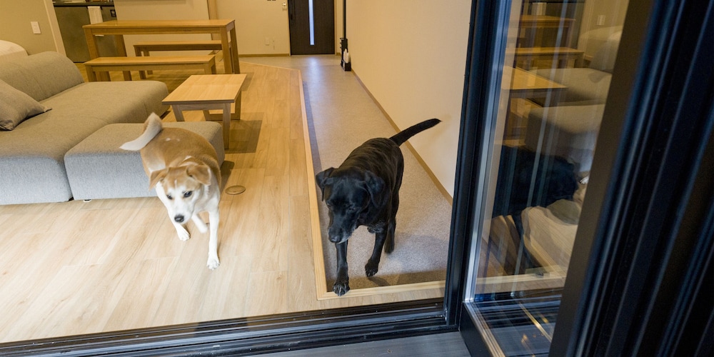 [Dog-friendly] Room for 8 People, Non Smoking - Photo 20