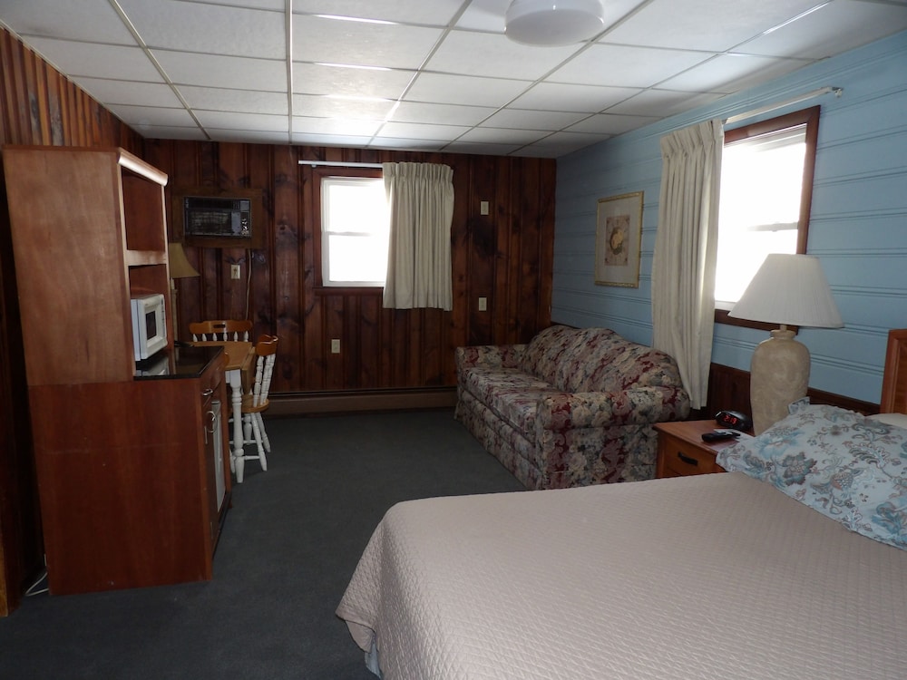 Studio Suite, 1 King Bed with Sofa bed photo 1