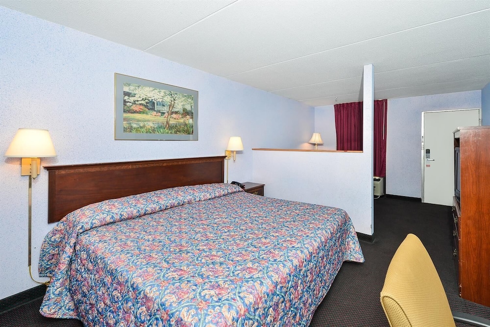 Suite, 1 King Bed photo 1