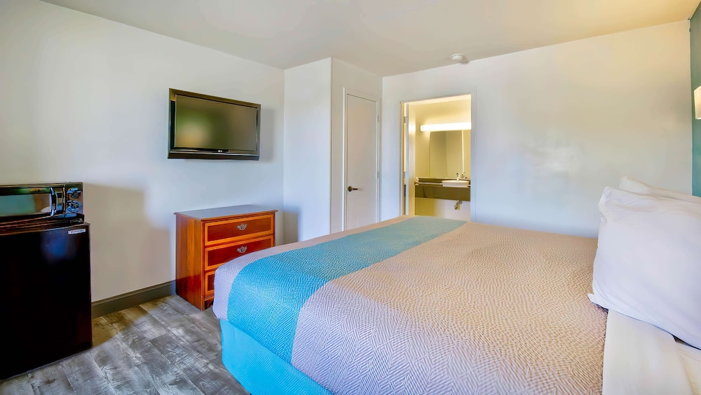 Standard Room, 1 King Bed, Accessible, Non Smoking - Photo 1
