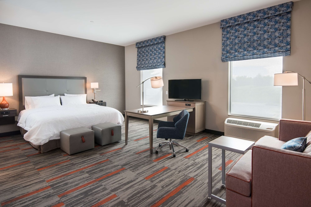Studio Suite, 1 King Bed, Mobility Accessible, Hearing Accessible, Non Smoking photo 2