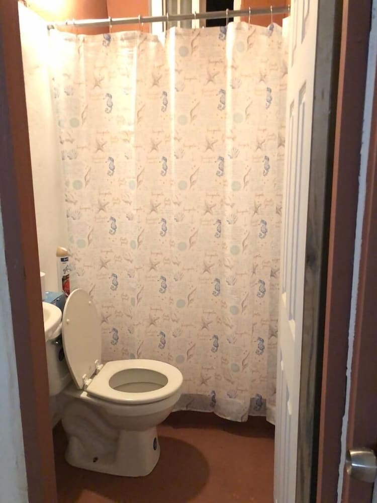 Shared Dormitory photo 3
