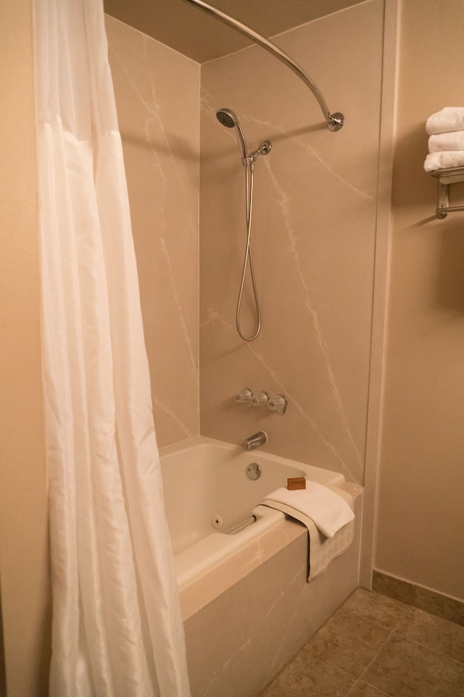 Suite, 1 Queen Bed photo 2