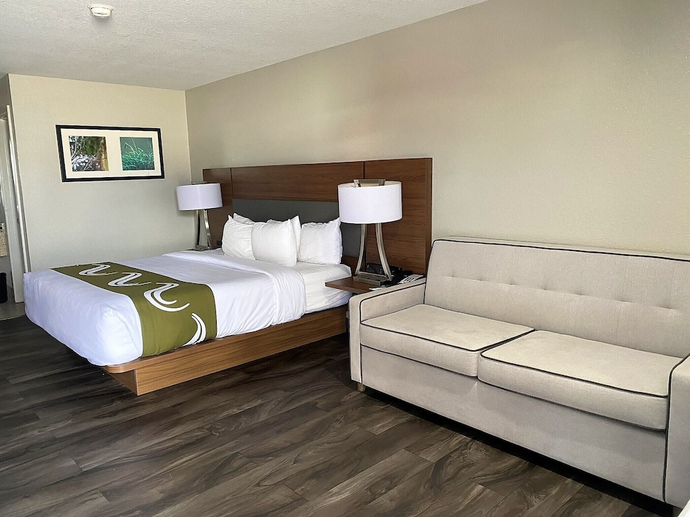 Standard Studio Suite, 1 King Bed With Sofa Bed - Photo 1