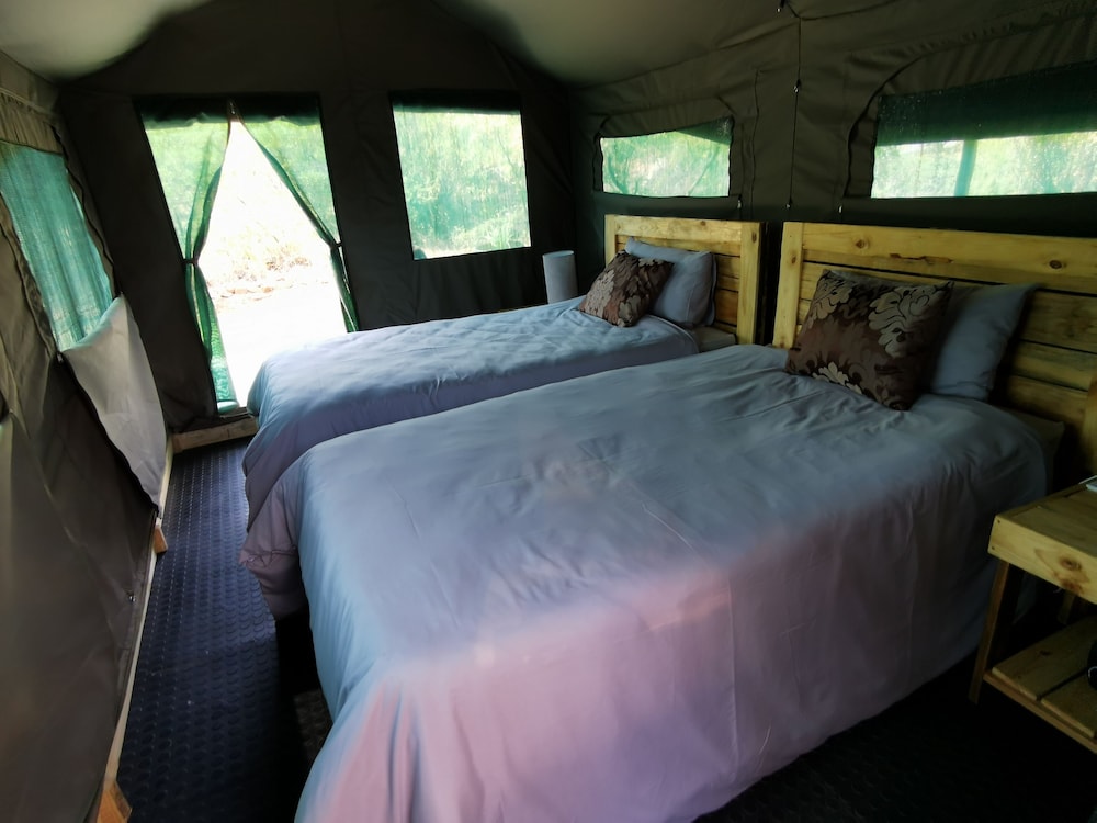 Standard Twin Room - Photo 2
