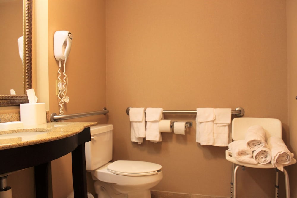 Studio, Accessible, Non Smoking photo 3