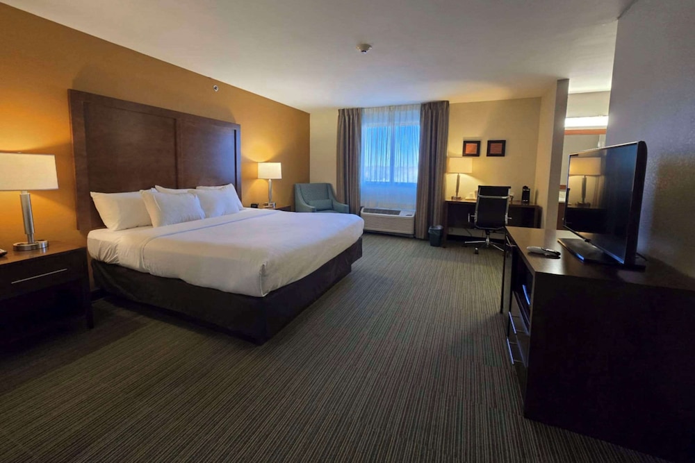 Suite, 1 King Bed with Sofa bed, Accessible, Non Smoking photo 1