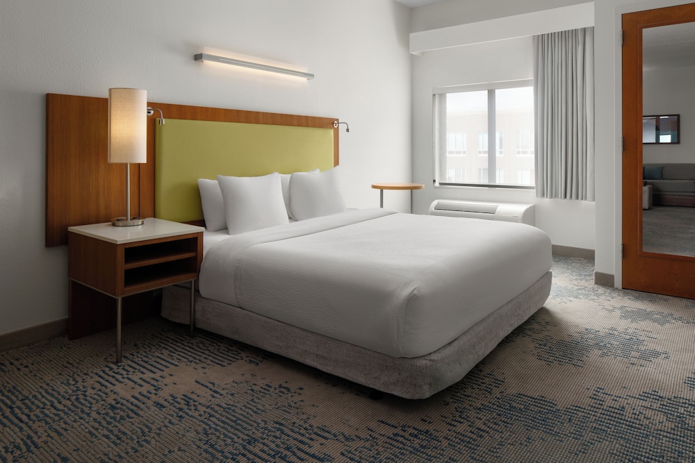 Suite, 1 King Bed with Sofa bed (Mobility Accessible, Tub)