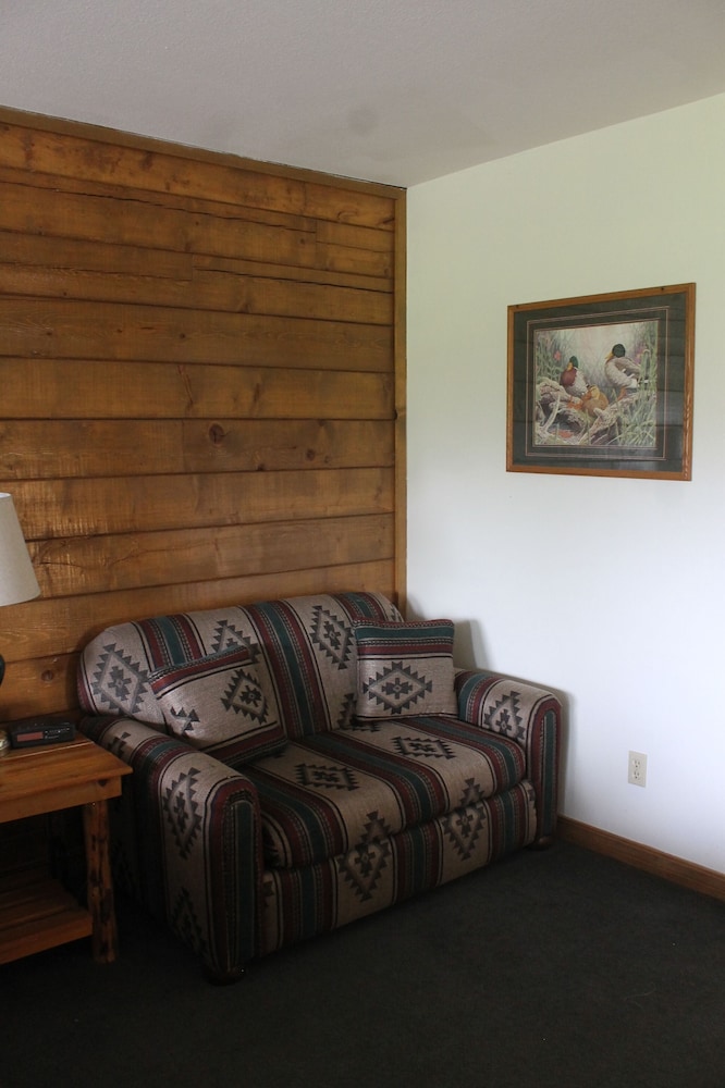 Disability Accessible Suite photo 3