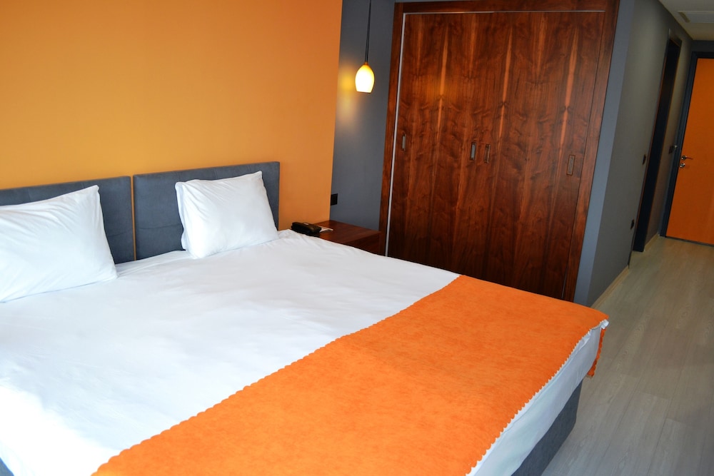 Standard Double or Twin Room photo 3