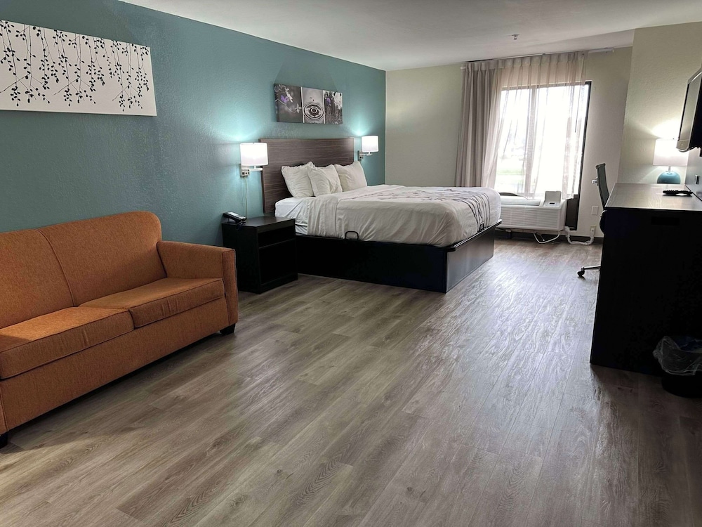 1 King Bed, Business Room, Efficiency, Suite, Nonsmoking - Photo 12
