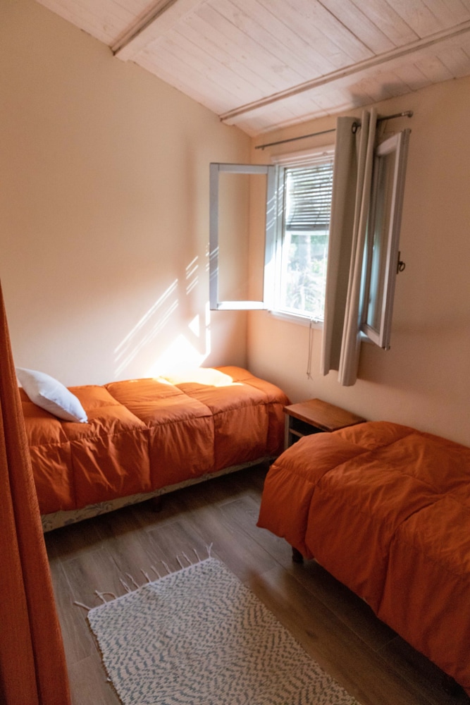 Comfort Apartment photo 2