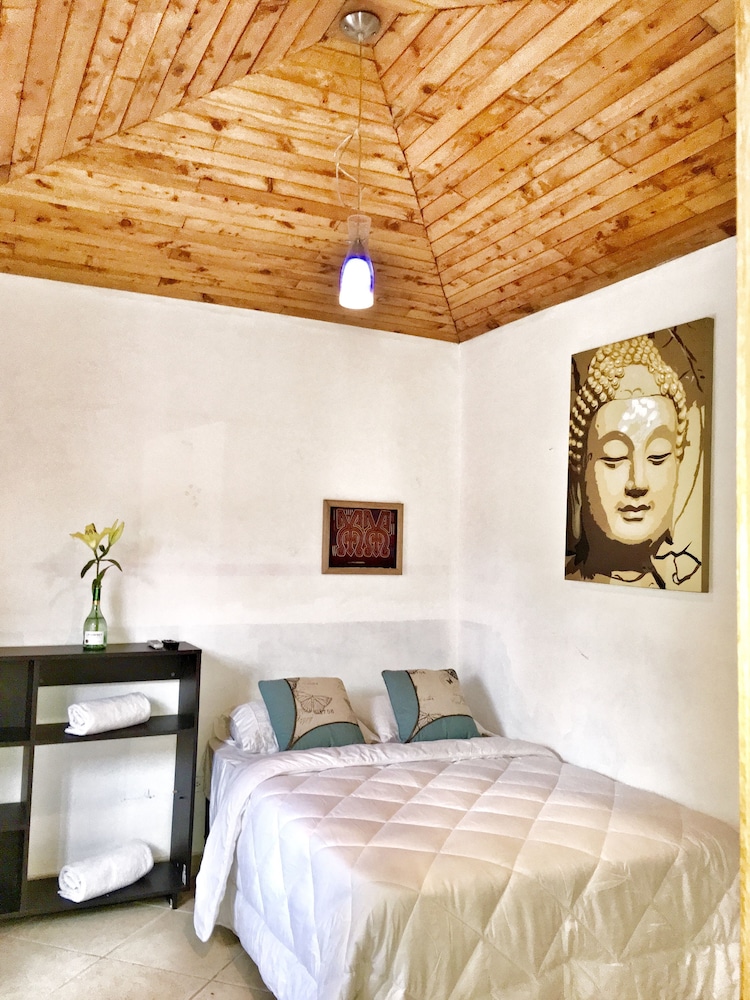 La Zen photo 1