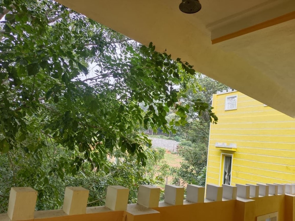 Superior Room, Mountain View