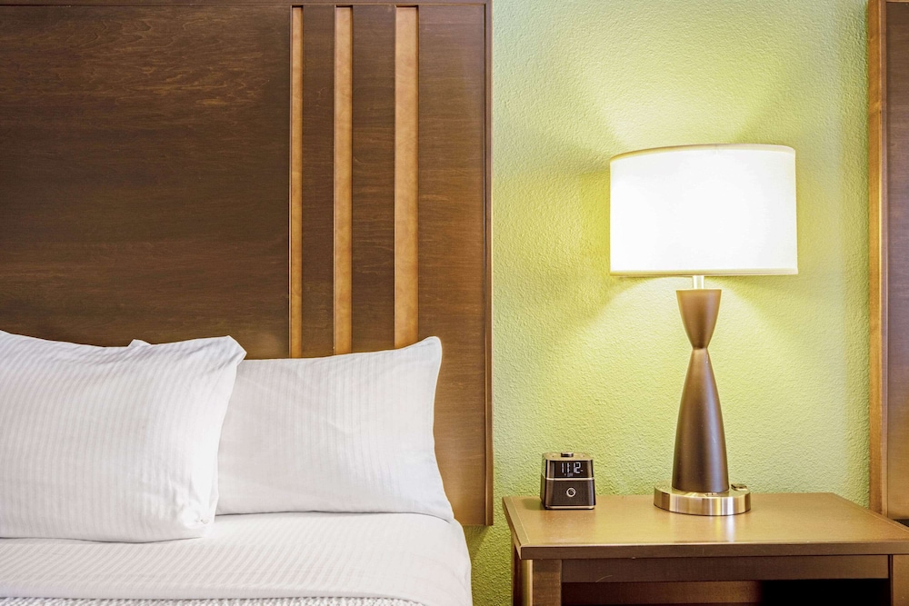 Suite, 1 King Bed, Accessible, Non Smoking (Mobility/Hearing Impaired Accessible) photo 2