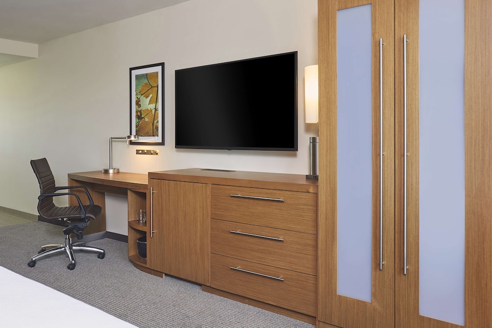 Room, Accessible (King Bed/Roll-in Shower plus Sofa Bed)